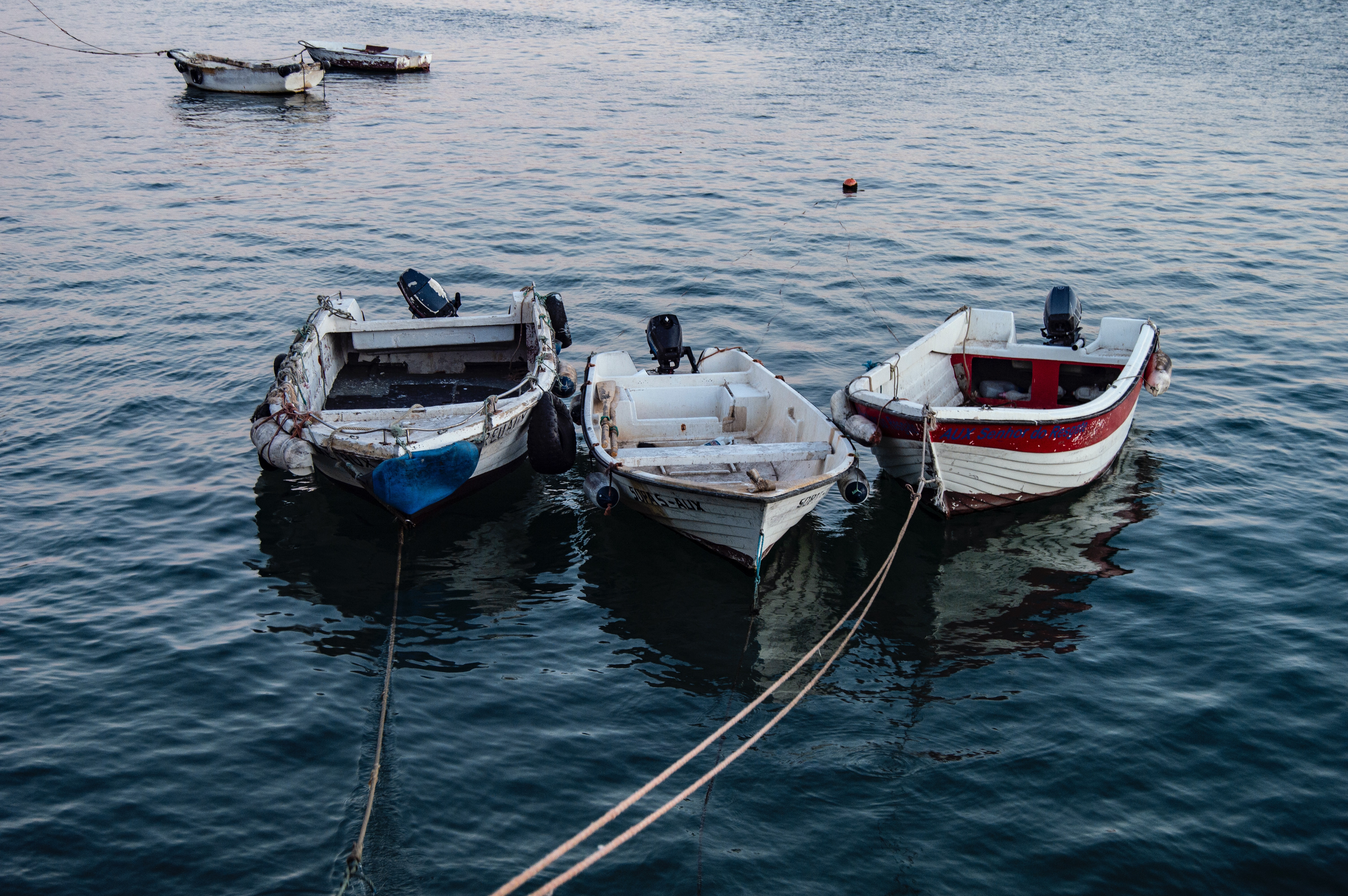 Coimbra Boats