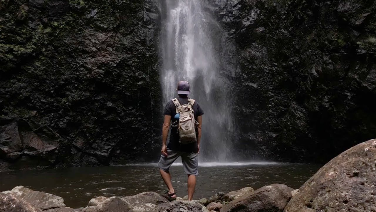 Kaipapau Falls Trail 2