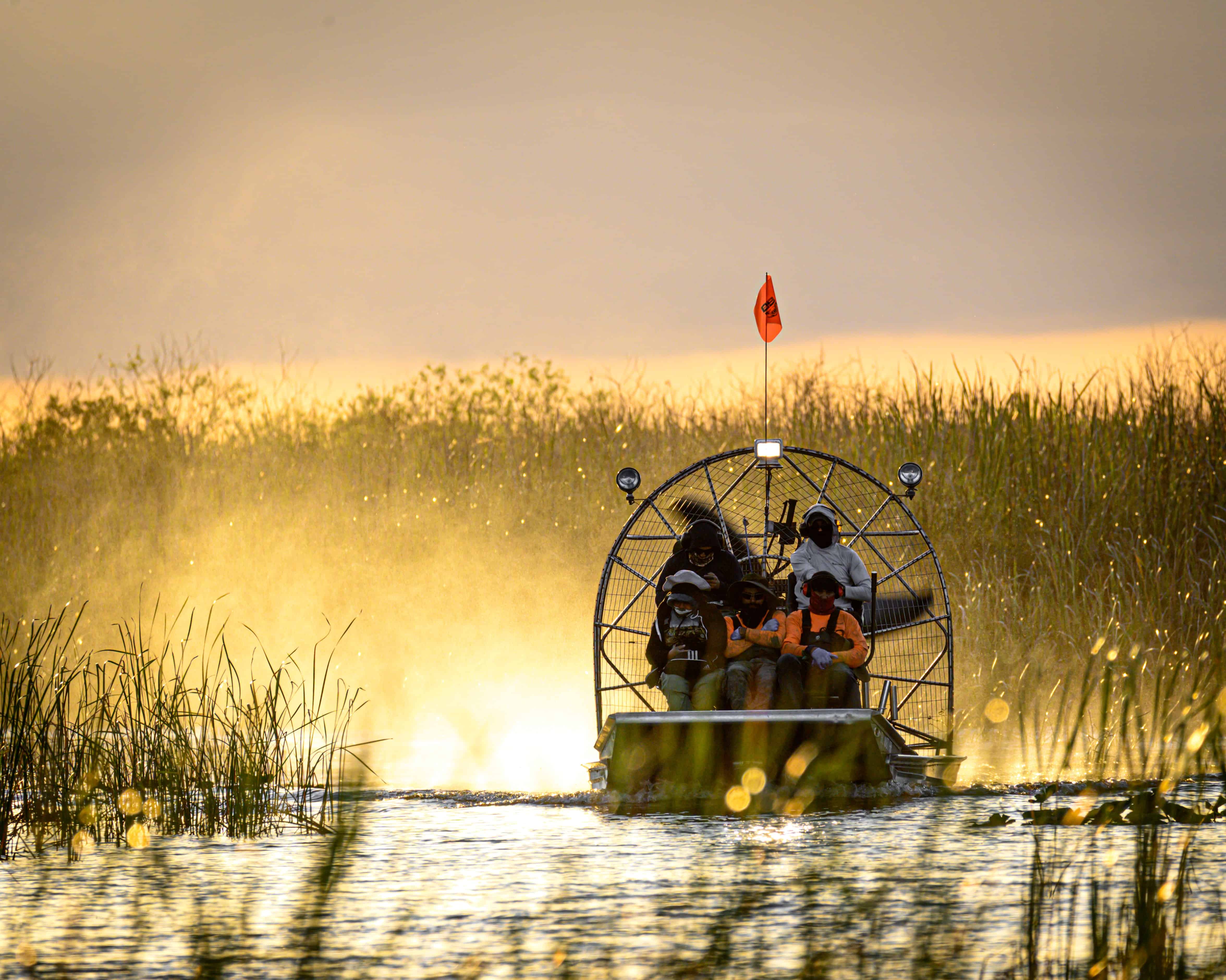 Taking an airboat tour in the Everglades