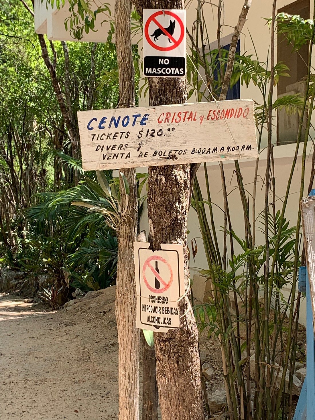 cenote escondido